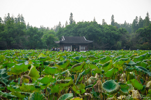 ▲杭州旅游 西湖十景。(图/Xavier元创主义提供)