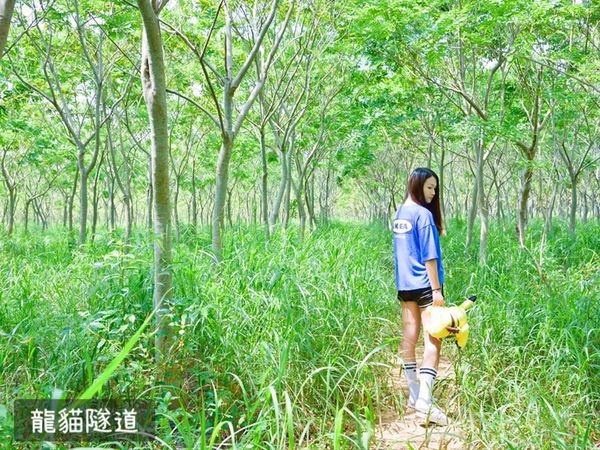 台中热门打卡景点。（图／SOLO的玩乐指南）