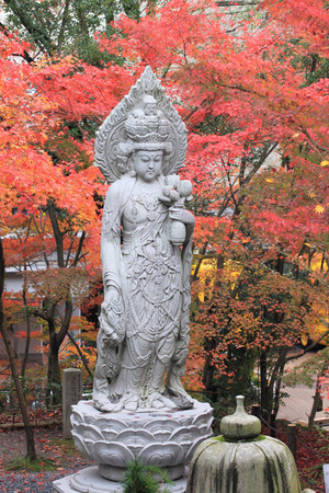 ▲美到失心枫！流转京都琵琶湖枫情。（图／凤凰旅游提供）