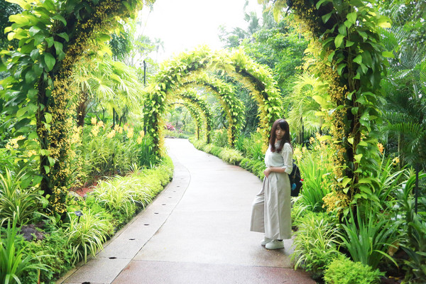 新加坡旅游-新加坡植物园(图/记者林世文摄)