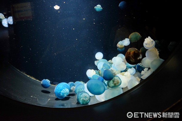 ▲加茂水族馆。（图／记者于佳云摄）