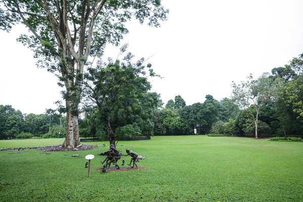 新加坡旅游-新加坡植物园(图/记者林世文摄)