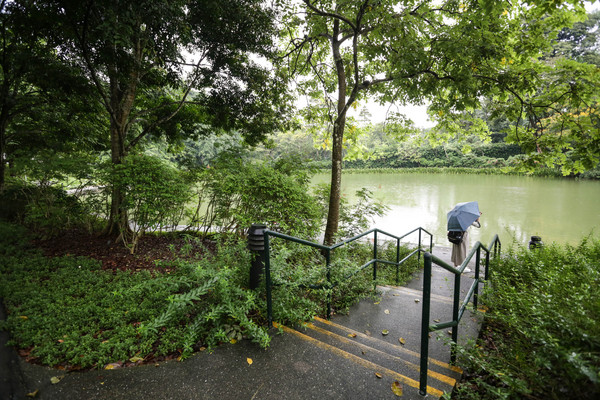 新加坡旅游-新加坡植物园(图/记者林世文摄)