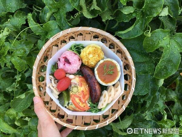 新北登山一日游。（图／新北市政府提供）