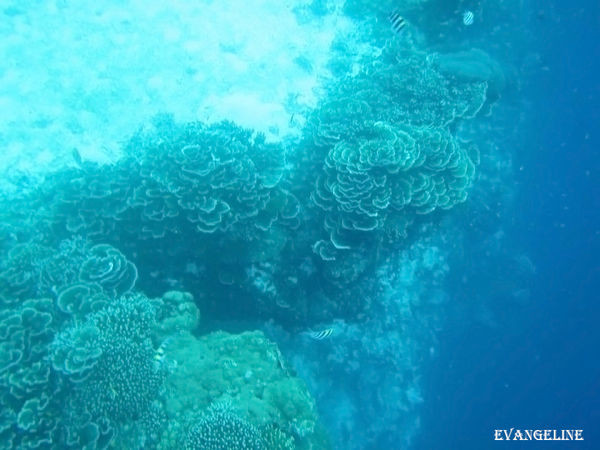 ▲菲律宾宿雾。(图/Evan提供)