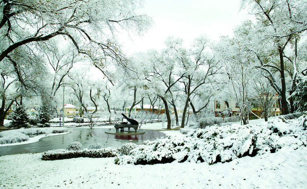 ▲哈尔滨冰雪节。（图／七逗旅游网提供）