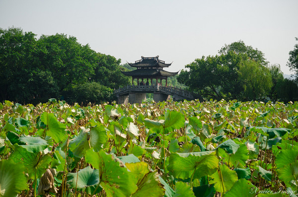 ▲杭州旅游 西湖十景。(图/Xavier元创主义提供)