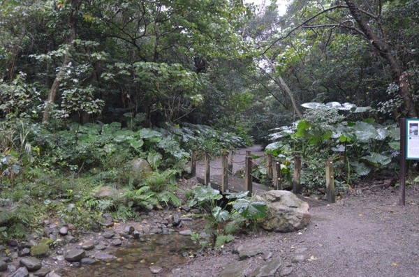 ▲独具沧桑美感 富阳公园中选拍历史纪录剧（图／台北市政府提供）