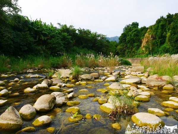 ▲苗栗大坪左岸亲子露营地。（图／何师父提供）