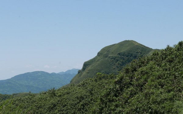 不止登高望海　还能与牛牛野餐
