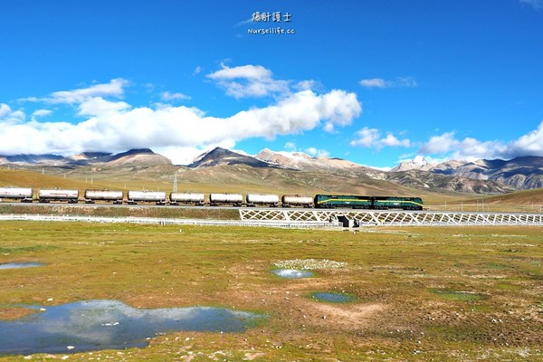 ▲中国西藏旅游。(图/爆肝护士提供)