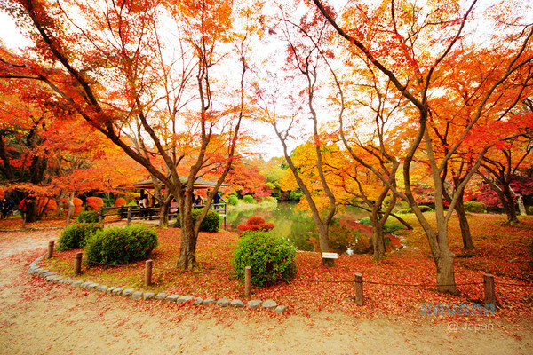 ▲京都府立植物园。(图/卡瓦纳提供)