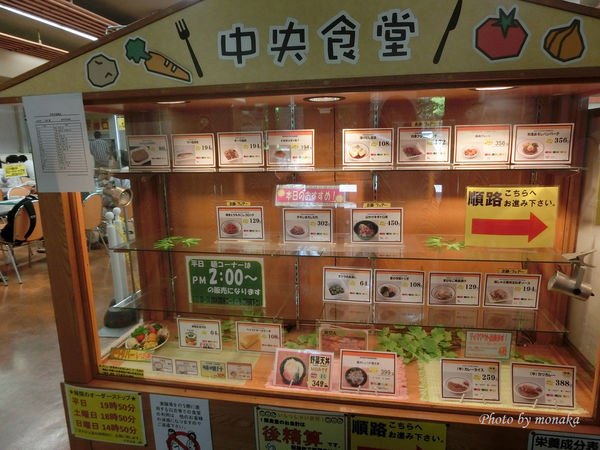 北海道大学。(图/摩那卡)