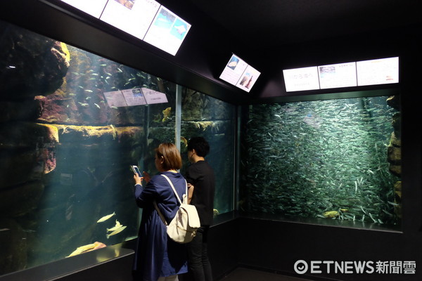 ▲加茂水族馆。（图／记者于佳云摄）