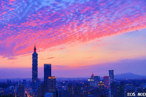▲台北101夜景虎山峰。（图／小白鲸摄）