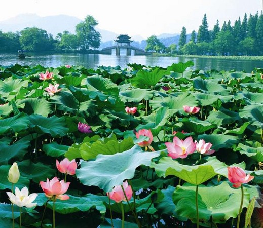 ▲杭州西湖（图／杭州市旅游委员会提供）