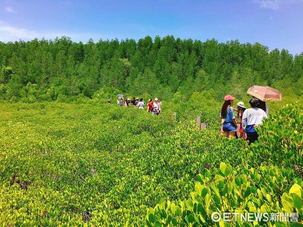 ▲泰国罗永府黄金水鼻仔。（图／记者蔡玟君摄）