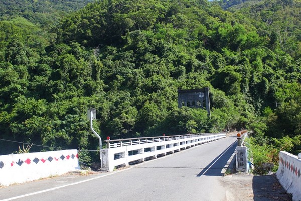 ▲桃园武陵绿色隧道。(图/Mimi韩提供)