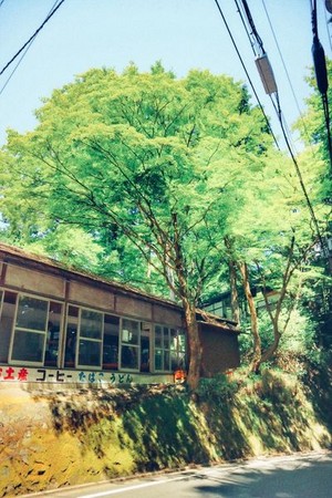 日本京都 贵船口?。（图／李佑群）