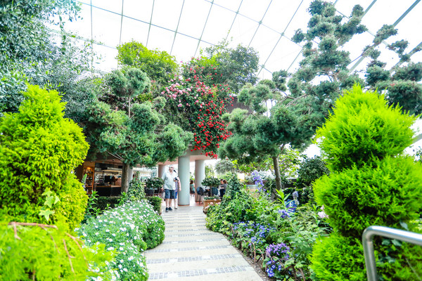 新加坡旅游-滨海湾花园温室:花芎园(图/记者林世文摄)
