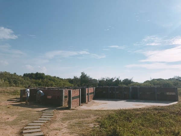 ▲北海岸热门IG景点。（图／MOMOCO提供）