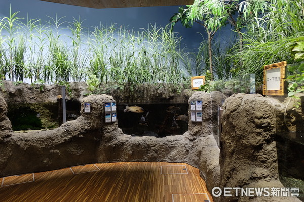 ▲加茂水族馆。（图／记者于佳云摄）