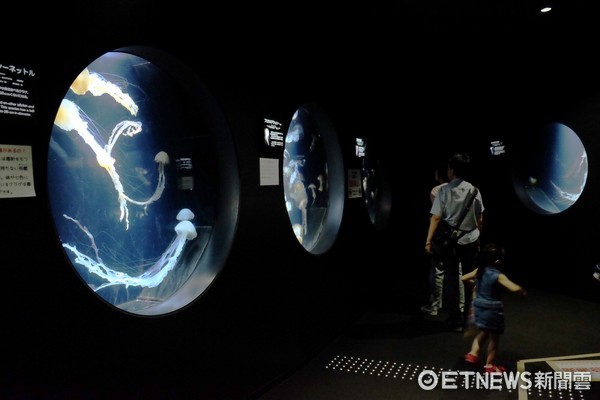 ▲加茂水族馆。（图／记者于佳云摄）