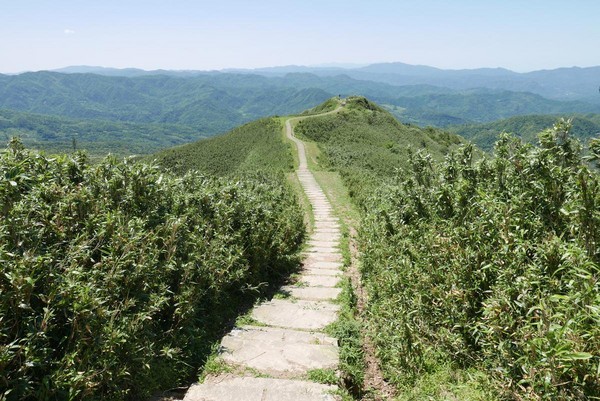 不止登高望海　还能与牛牛野餐