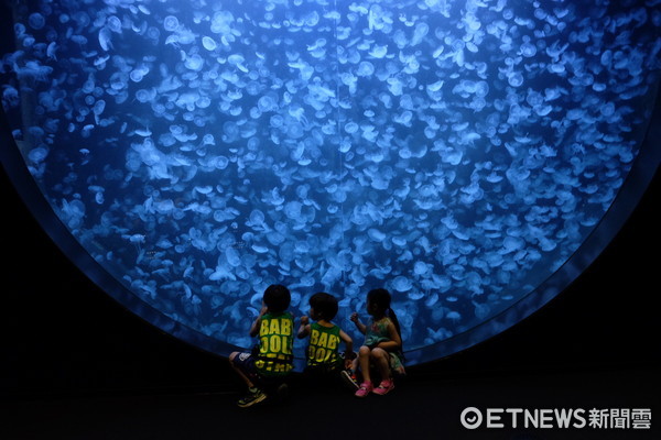 ▲加茂水族馆。（图／记者于佳云摄）