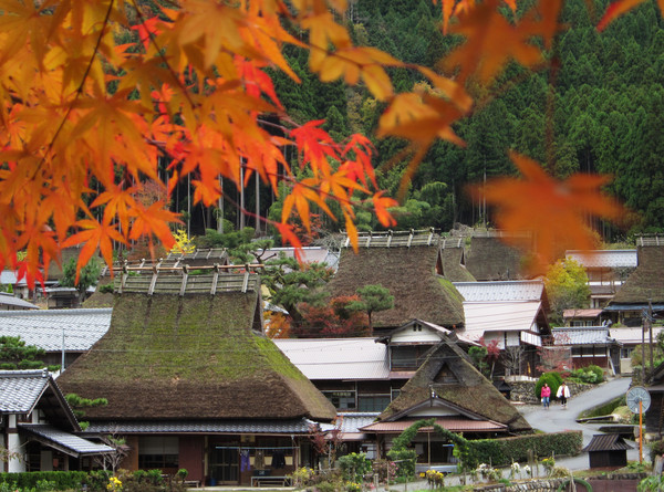 ▲日本京都赏枫。（图／凤凰旅行社提供）
