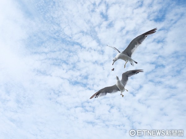 ▲加茂水族馆。（图／记者于佳云摄）