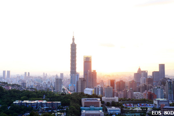 ▲台北101夜景虎山峰。（图／小白鲸摄）