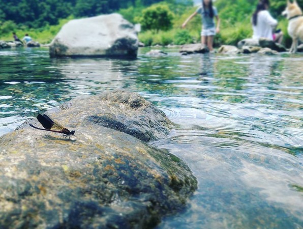 ▲东岳涌泉。（图／网友tashatei提供，请勿随意翻拍，以免侵权。）