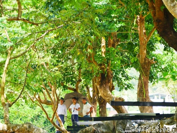 ▲苗栗大坪左岸亲子露营地。（图／何师父提供）