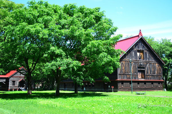 北海道大学。(图/摩那卡)