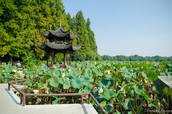 ▲杭州旅游 西湖十景。(图/Xavier元创主义提供)