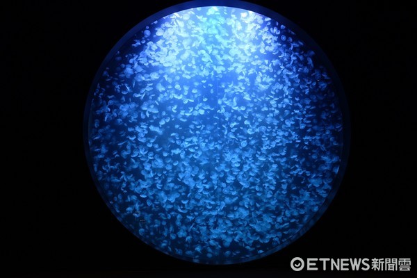 ▲加茂水族馆。（图／记者于佳云摄）