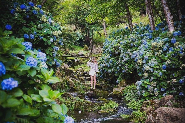 ▲高山青农场。（图／记者陈涵茵摄）