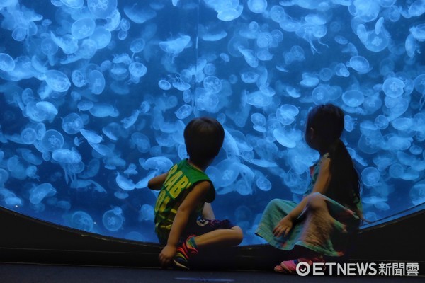 ▲加茂水族馆。（图／记者于佳云摄）