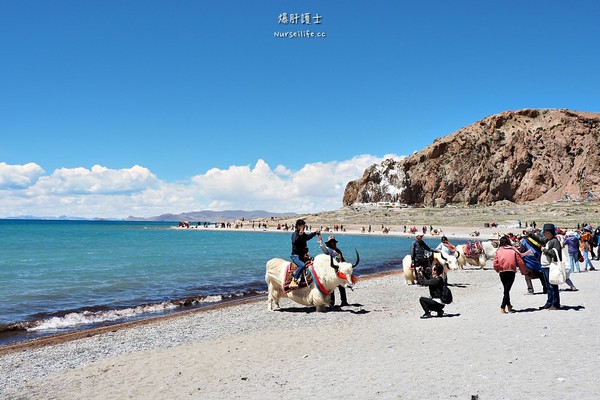 ▲中国西藏旅游。(图/爆肝护士提供)