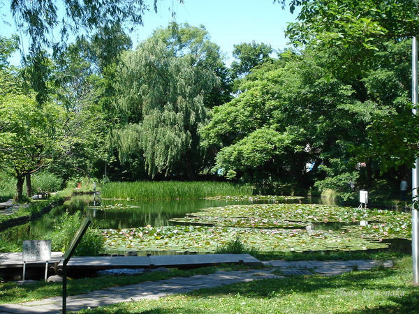 北海道大学。(图/摩那卡)