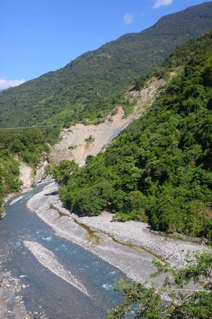 ▲桃园武陵绿色隧道。(图/Mimi韩提供)