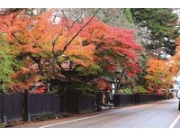 从樱花纷飞到雪中秘境温泉！日本秋田3大必访自然景点