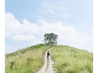 台南木架草原荒凉美景！　秋冬秘境宛如电影场景　