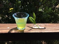 100克要价7万日币！“顶级茶玉露”喝的每口都甘醇飘香