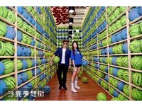 网络热门打卡非去不可城市　台中7大免费网美景点懒人包