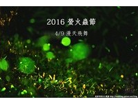 探访山林间的小银河　薰衣草森林“台中萤火虫节”开跑