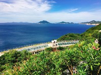来自星星的海上仙境！韩国“长蛇岛”走进韩剧场景里