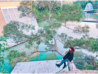 到“格林奇幻森林”环游世界！婚纱圣地收藏多国梦幻造景