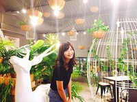 仿佛森林精灵！高雄无国界料理店竟可在“鸟笼”内用餐